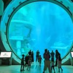 SeaWorld Abu Dhabi