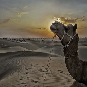 Jaisalmer