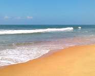 Goa